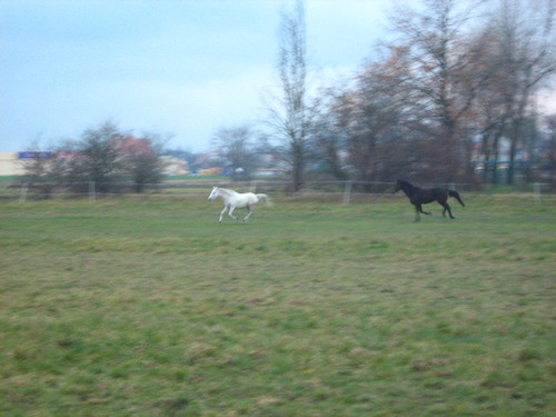 Koniec..