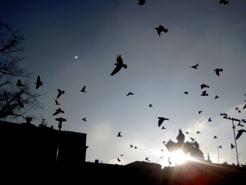 Plac Litewski..