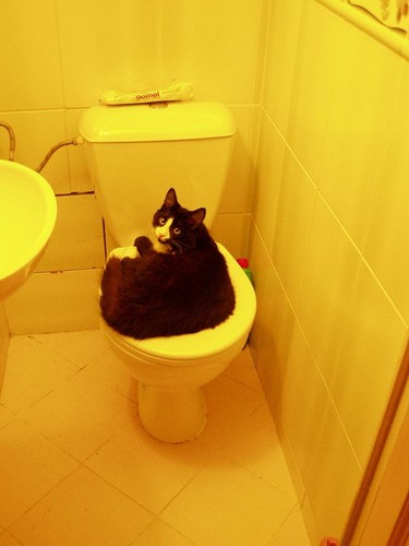 oh! don't look at me this way!