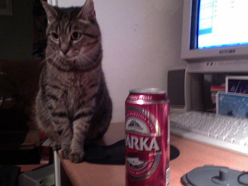 Mruczek & Warka