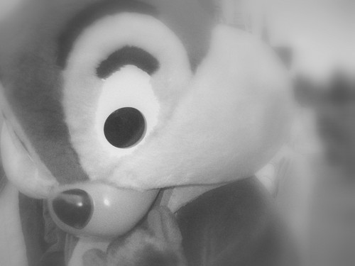 Misio...;)