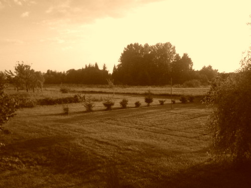Dla braciszka ;]