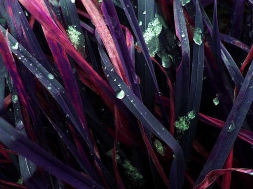 ,,Antymateria...''