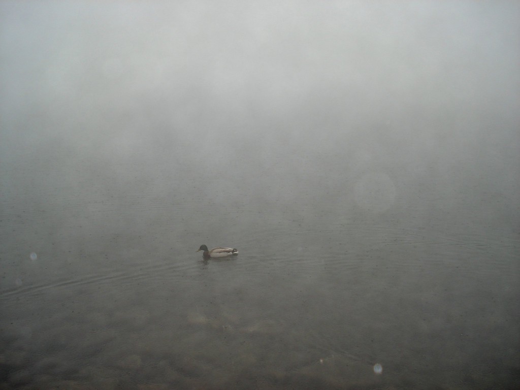 Tatry '07 - Czarny Staw.