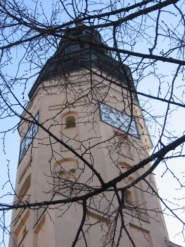 na nut Ireny S.