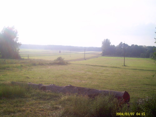 zapomniany widok