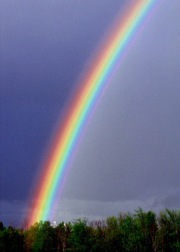 Rainbow...