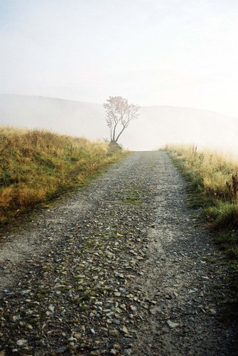 Road to nowhere