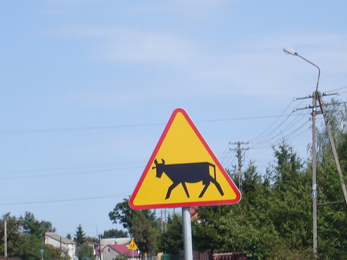 muuu