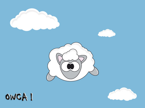 owca