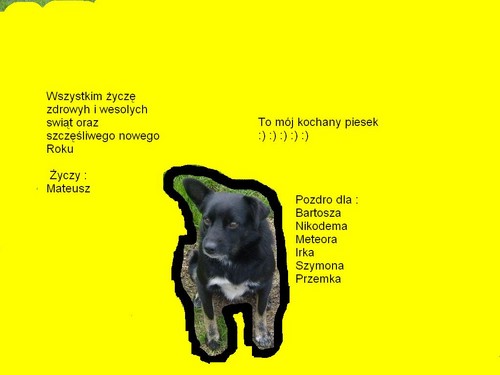 Krtko