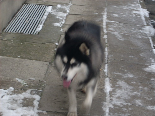 CHASKI