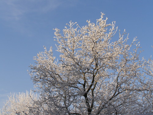 Let It Snow