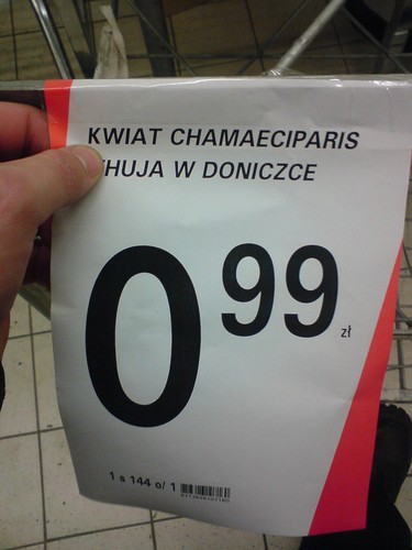 HUJA W DONICZCE :D