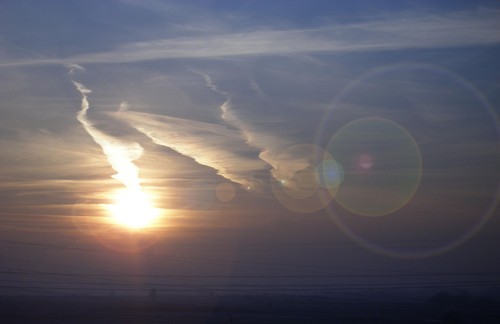 Wings Of Sky