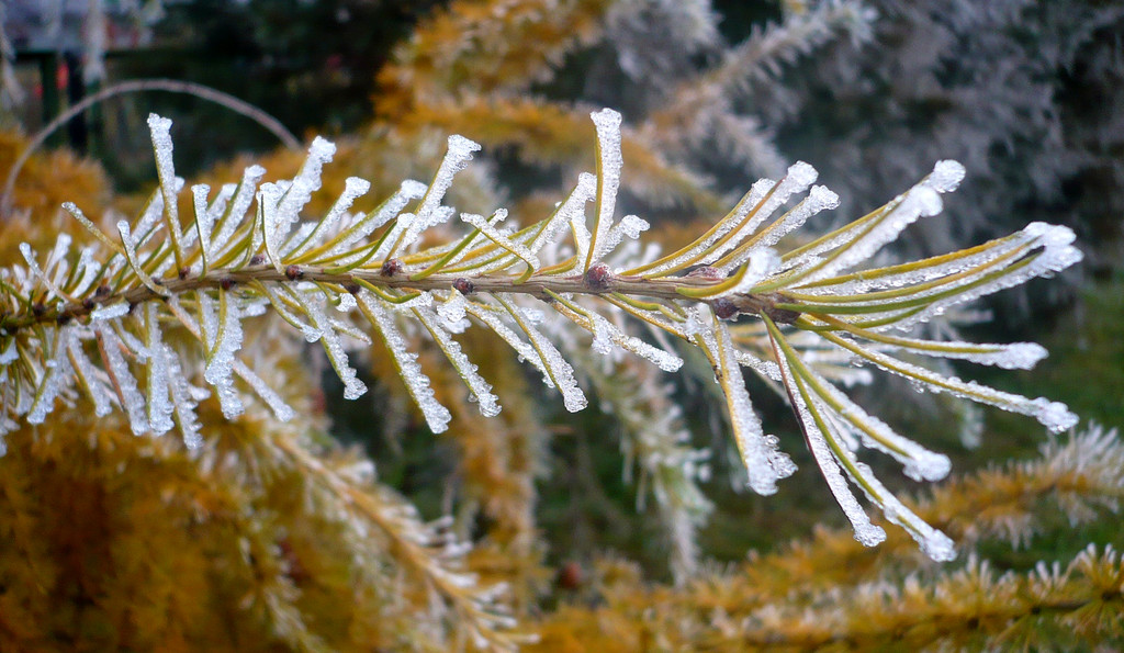 winter is coming ^^