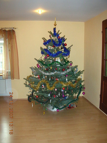 moja choina