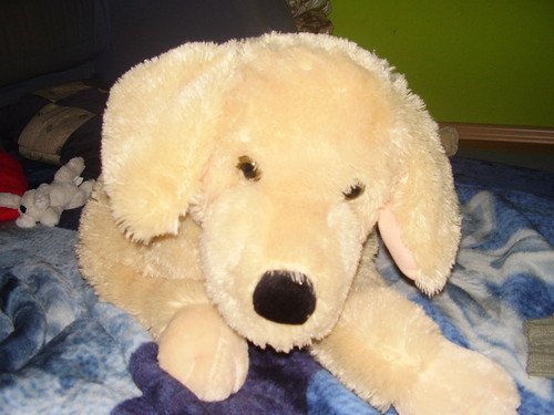 Sunia :*