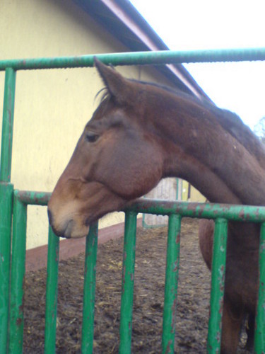 Kto to ?
