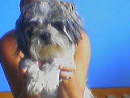 JA I MoJ PISSeK :*
