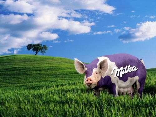 Lubicie Milk???
