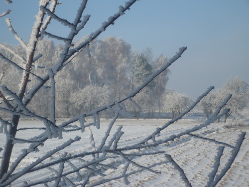 Widok z okna :)