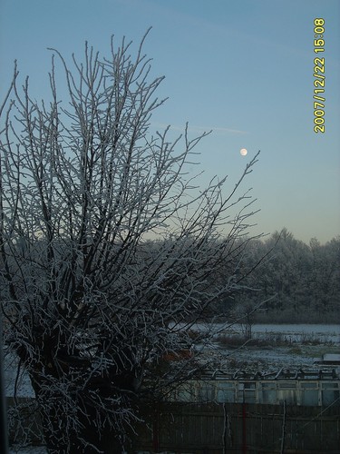 widok z mojego pokoju na wsi;)