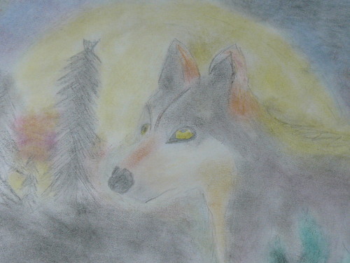 wolf and the moon