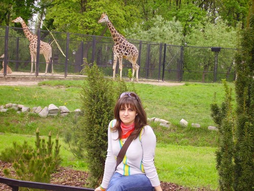 w Zoo