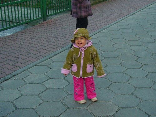 Maja