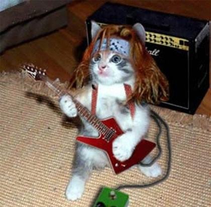 Rock