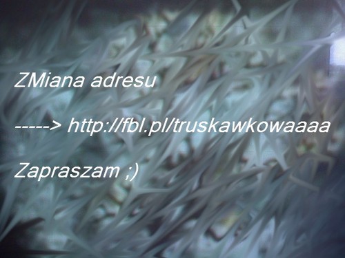 Zawieszam ;) 