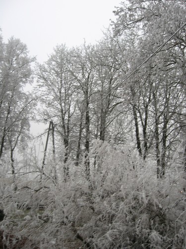 Sylwester!