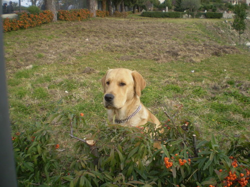GrYzO:-D