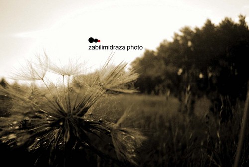 dmu-cha-wiec.