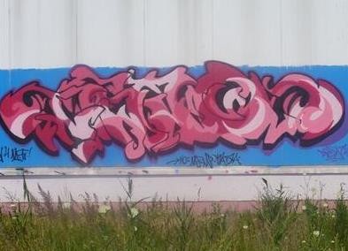 dsaw 