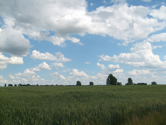 Chmurki