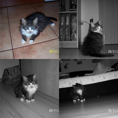 Moje mae szczcie... ;***