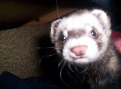 smile