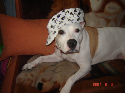 Zioom :D 
