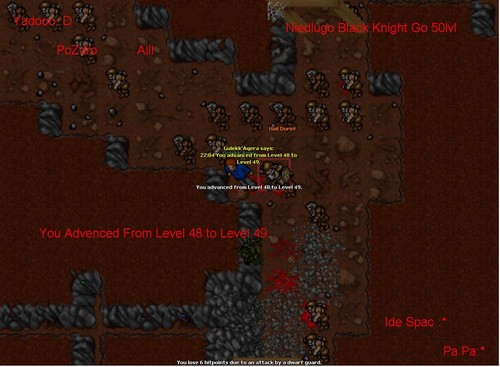 You advened Level 48 to Level 49