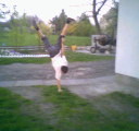 Wyglupy  .... =p
