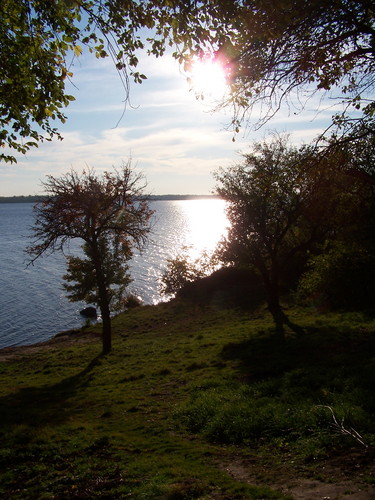 ... kazdy dzien ... 