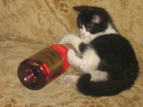 Mruczek