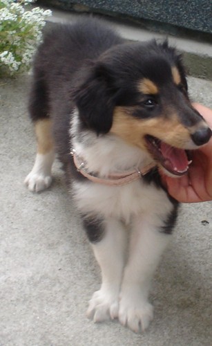 EMI :)