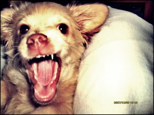 wrrrrrrrrrrrrrrrrrr