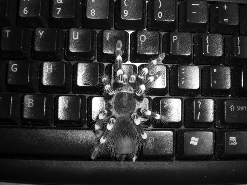 BLACK AND WHITE xD