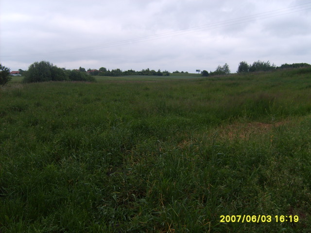 widoczeek