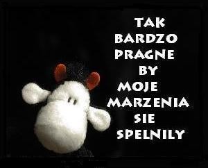 :)mam takie wielkie marzenie ;D