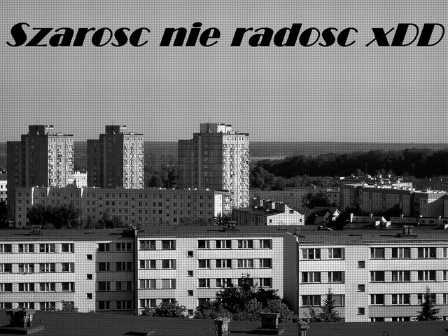 Szaro nie radosc xDD